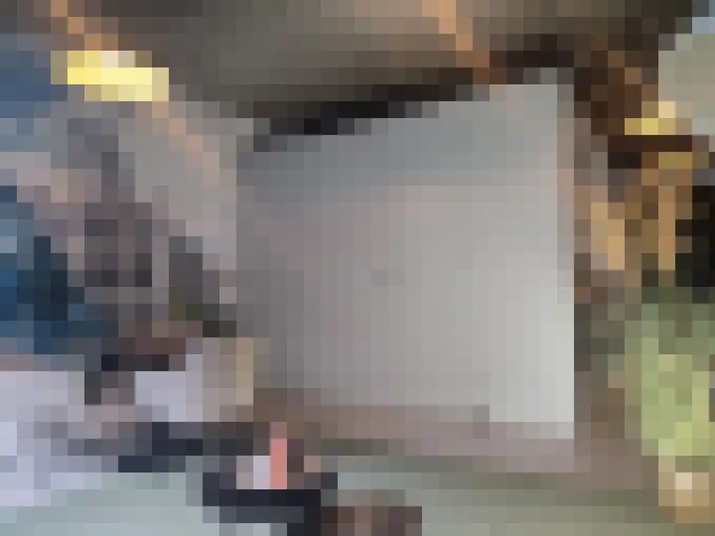 Philitelaan 63 33 Eindhoven thumbnail 13