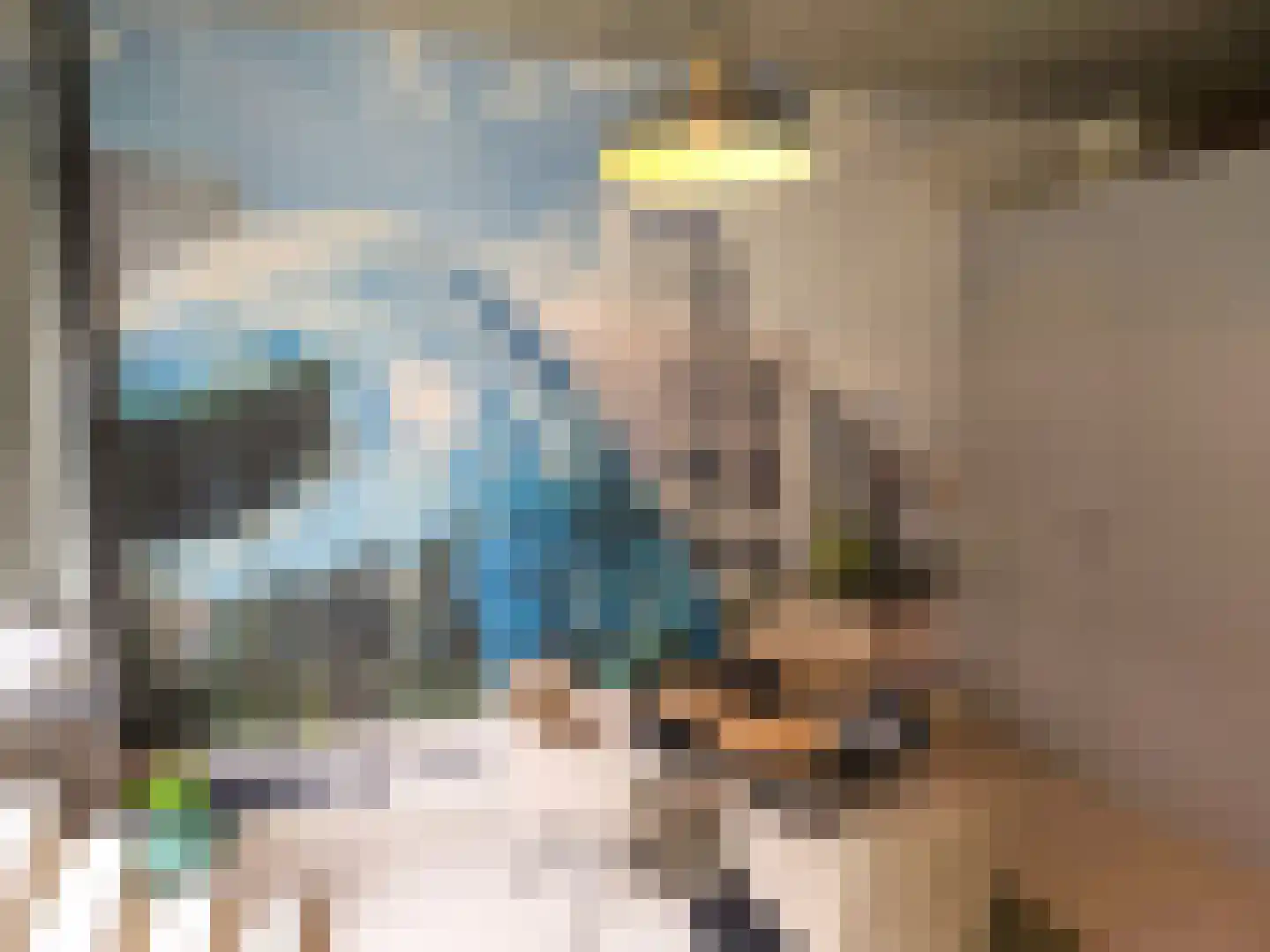 Philitelaan 63 33 Eindhoven thumbnail 17