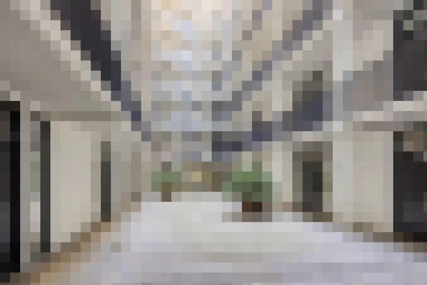 Philitelaan 63 33 Eindhoven thumbnail 4