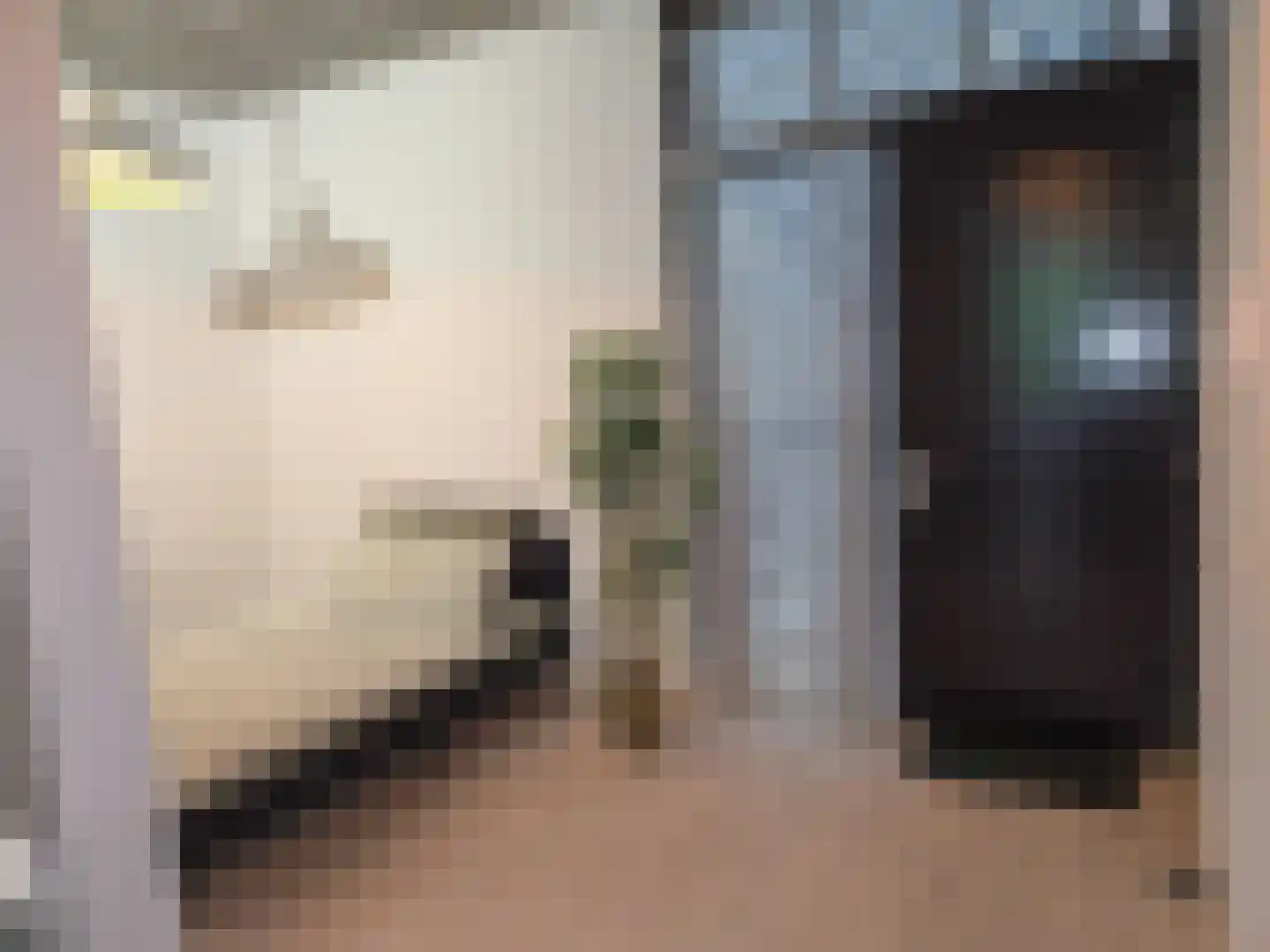Philitelaan 63 33 Eindhoven thumbnail 6
