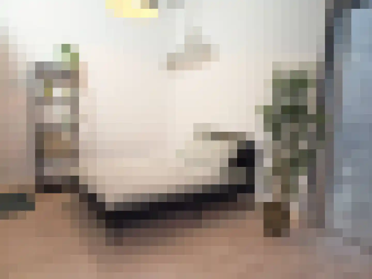 Philitelaan 63 33 Eindhoven thumbnail 7