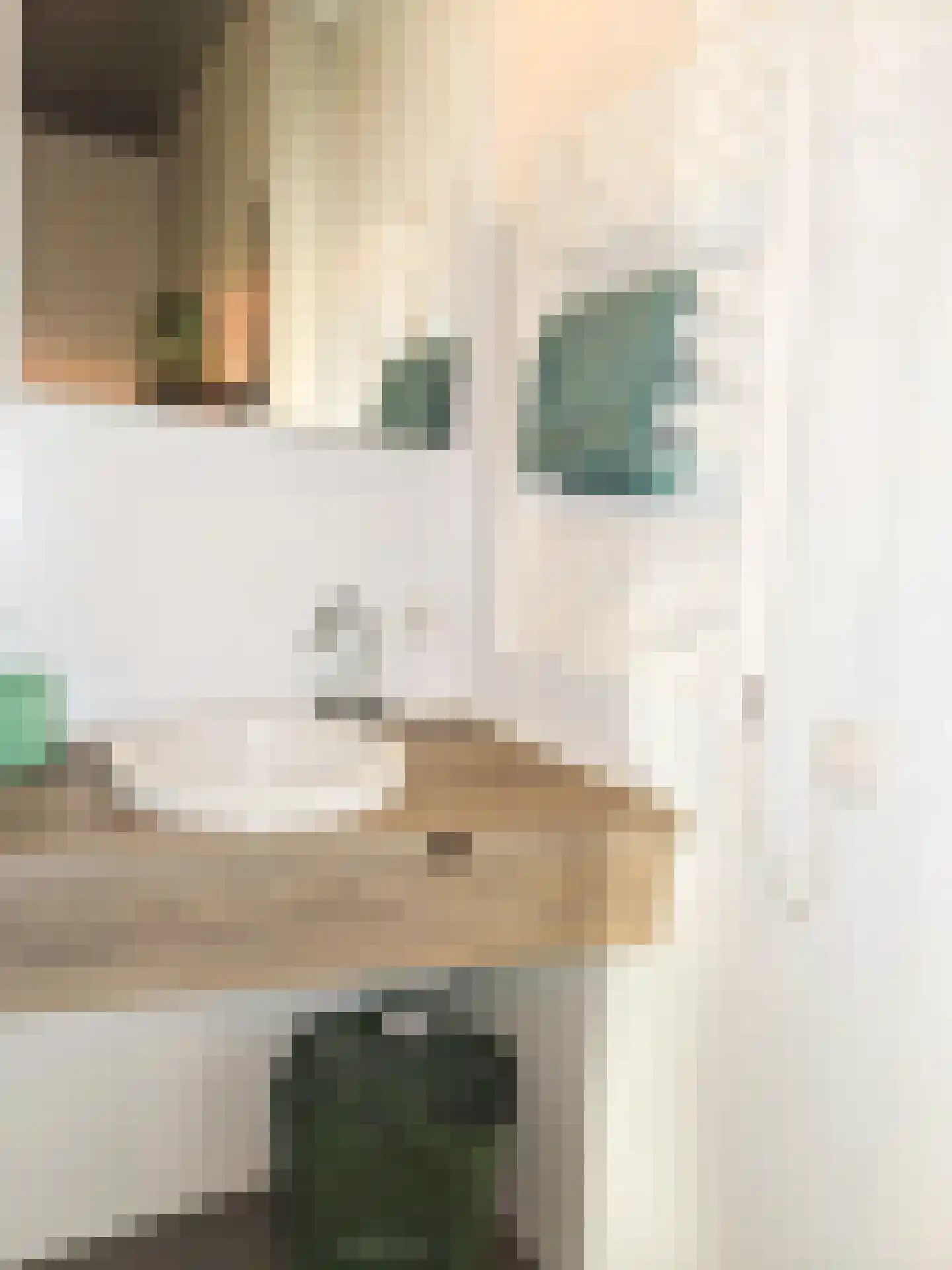 Philitelaan 63 33 Eindhoven thumbnail 9