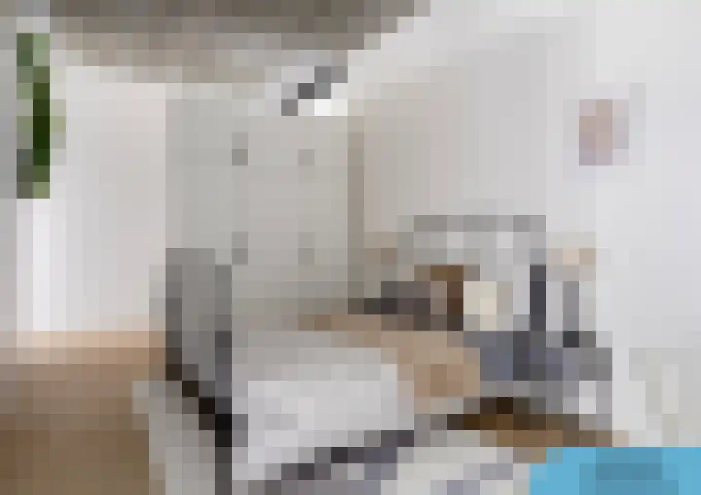 Philitelaan 63 71 Eindhoven thumbnail 17