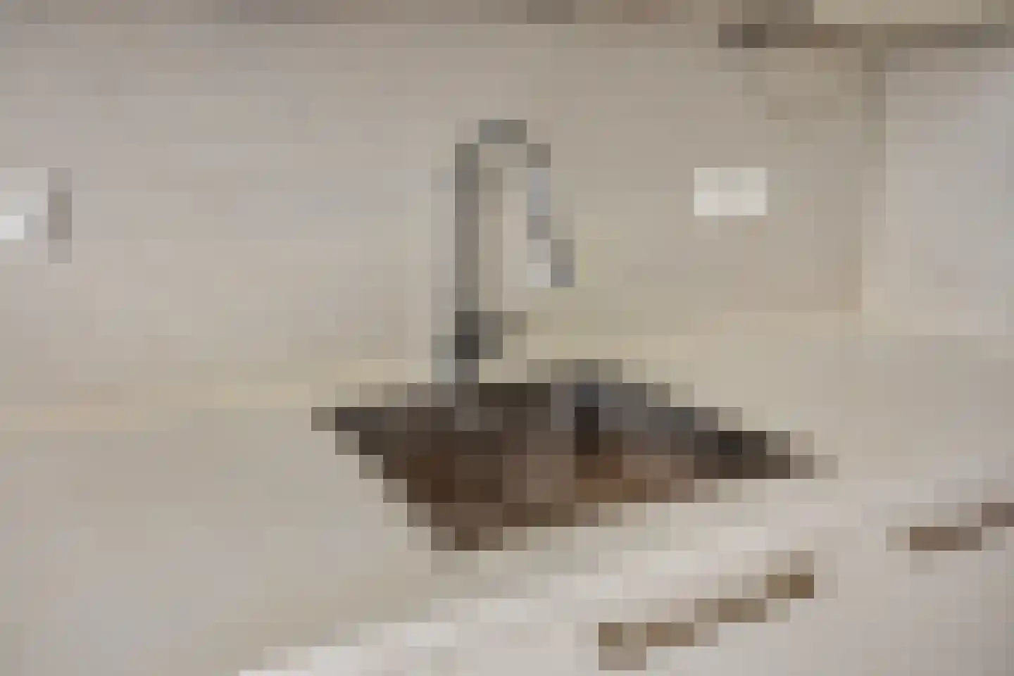 Philitelaan 63 71 Eindhoven thumbnail 22