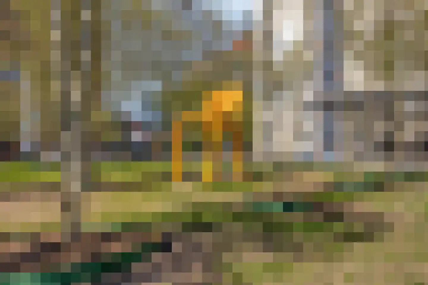 Philitelaan 63 71 Eindhoven thumbnail 37