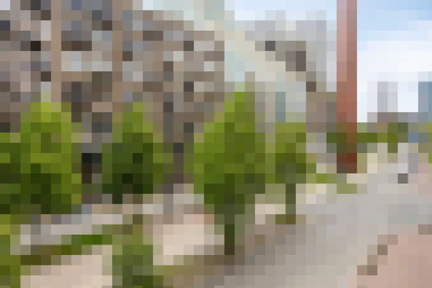 Philitelaan 63 79 Eindhoven thumbnail 41