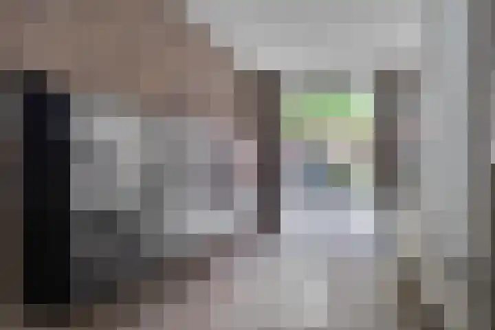 Philitelaan 63 81 Eindhoven thumbnail 19