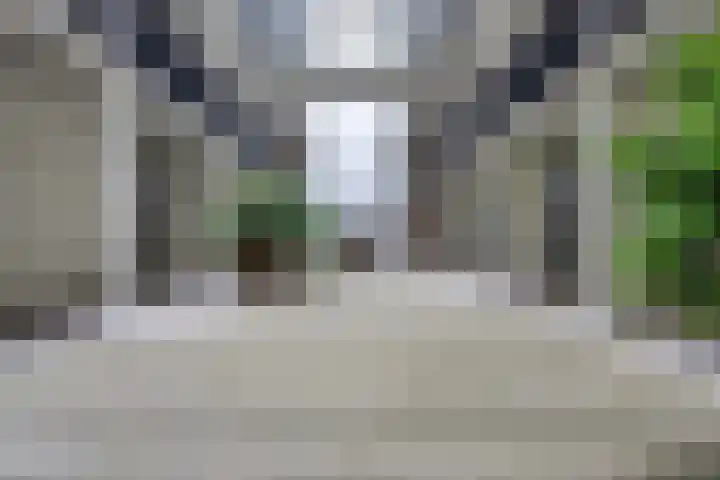 Philitelaan 63 81 Eindhoven thumbnail 20