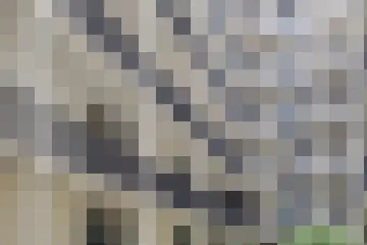 Philitelaan 63 81 Eindhoven thumbnail 21