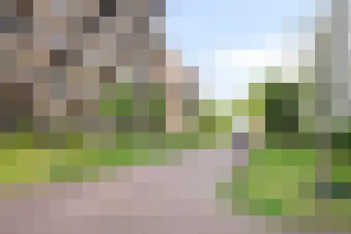 Philitelaan 63 81 Eindhoven thumbnail 23