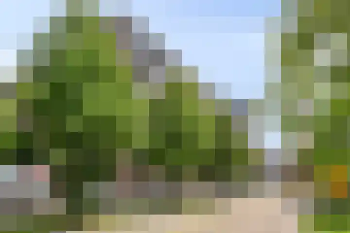 Philitelaan 63 81 Eindhoven thumbnail 25