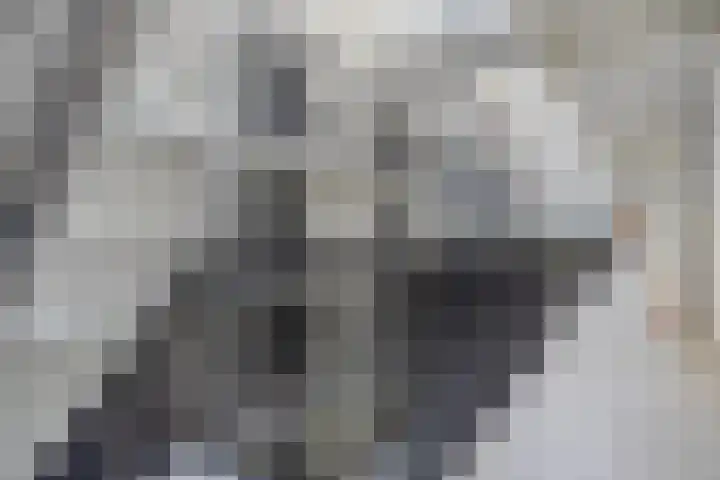 Philitelaan 63 81 Eindhoven thumbnail 7