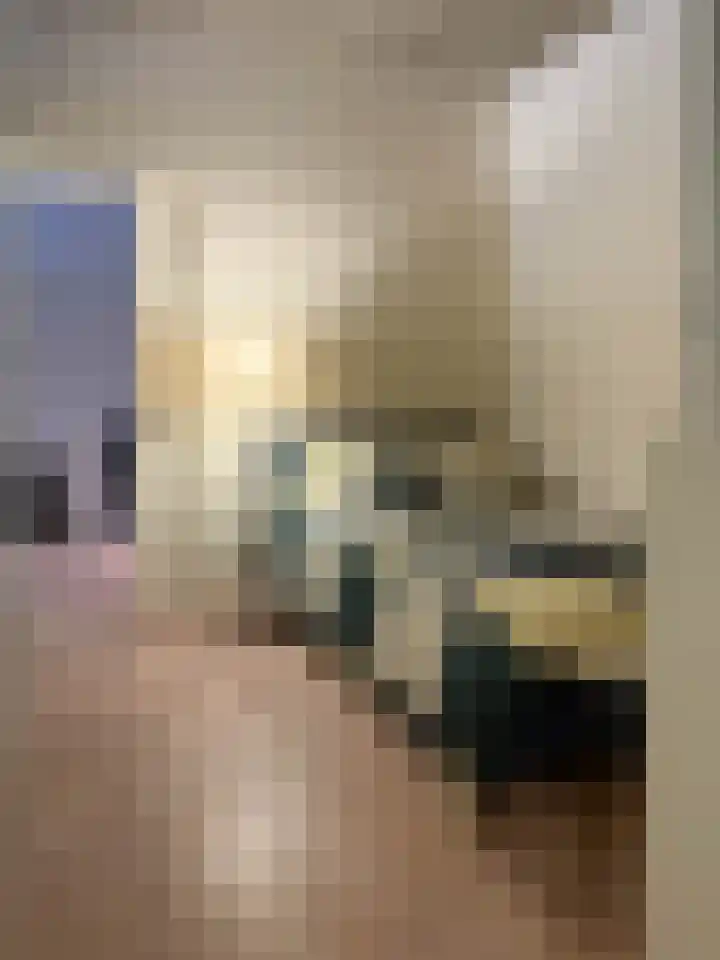 Philitelaan 63 87 Eindhoven thumbnail 16