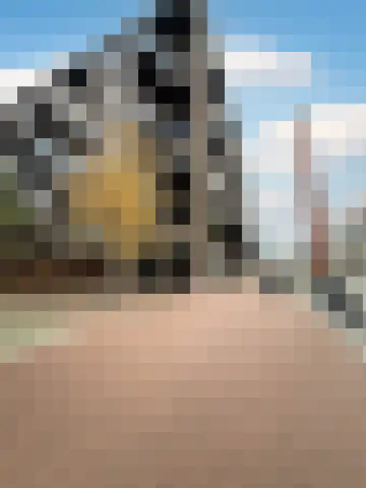 Philitelaan 63 87 Eindhoven thumbnail 23