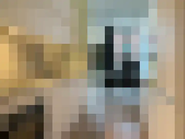 Philitelaan 63 87 Eindhoven thumbnail 5
