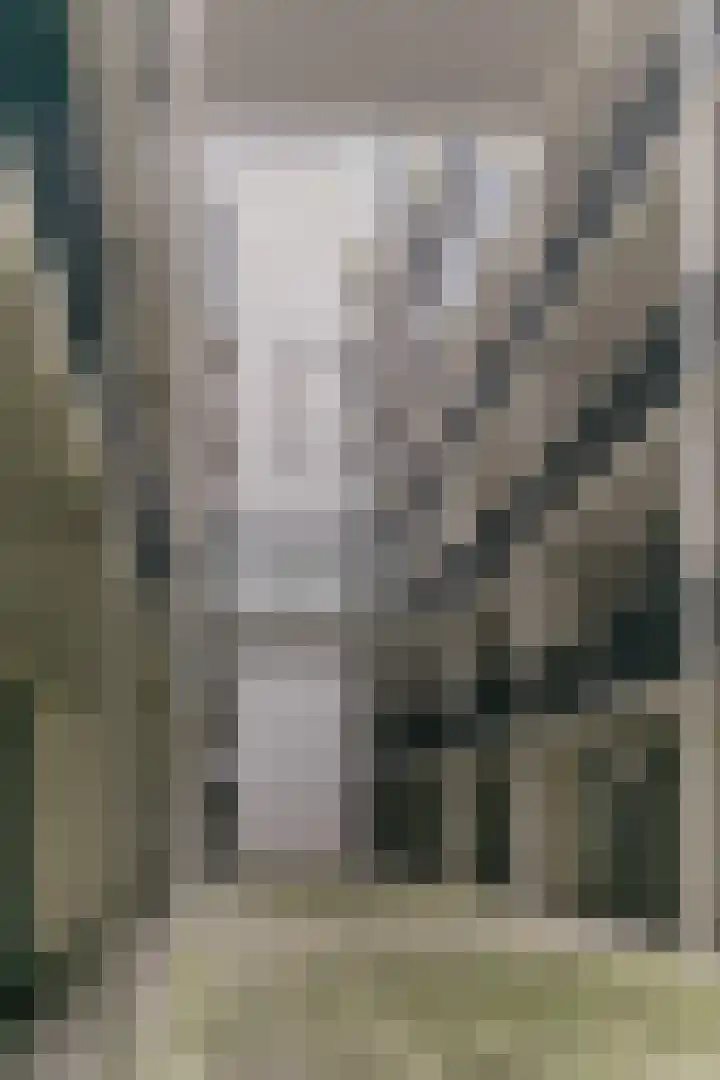 Philitelaan 63 87 Eindhoven thumbnail 6