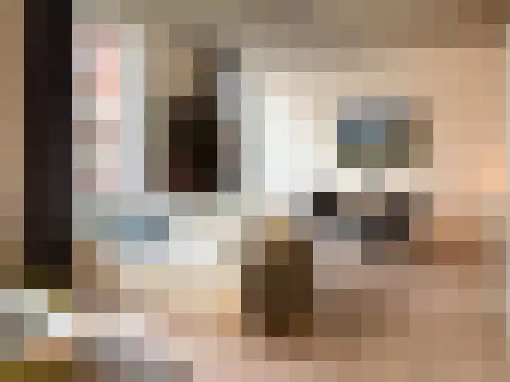 Philitelaan 63 87 Eindhoven thumbnail 9
