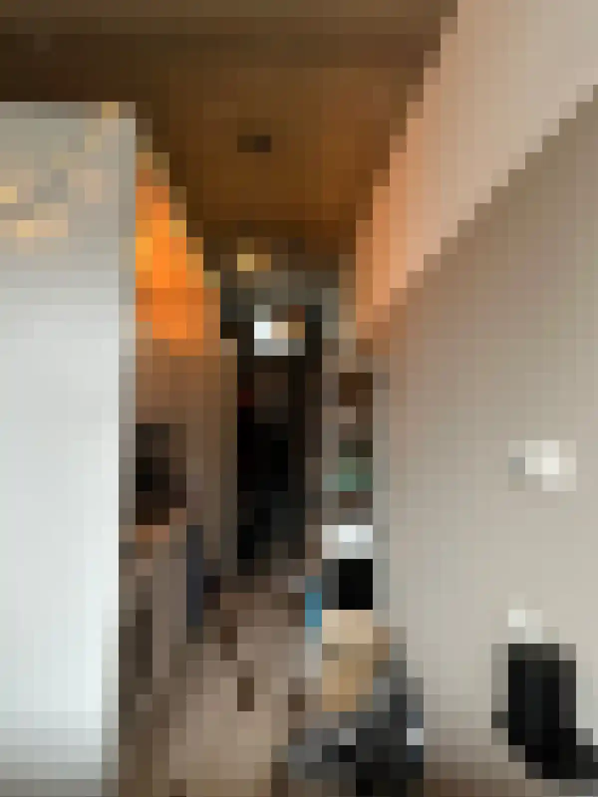 Philitelaan 63 Eindhoven thumbnail 5