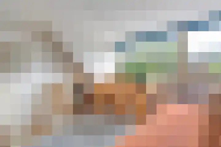 Philosofenallee 12 Zwolle thumbnail 18