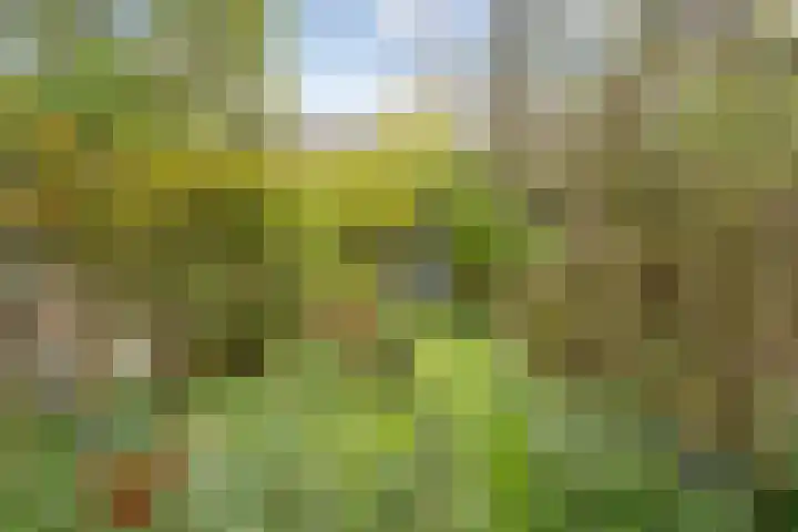 Philosofenallee 12 Zwolle thumbnail 22