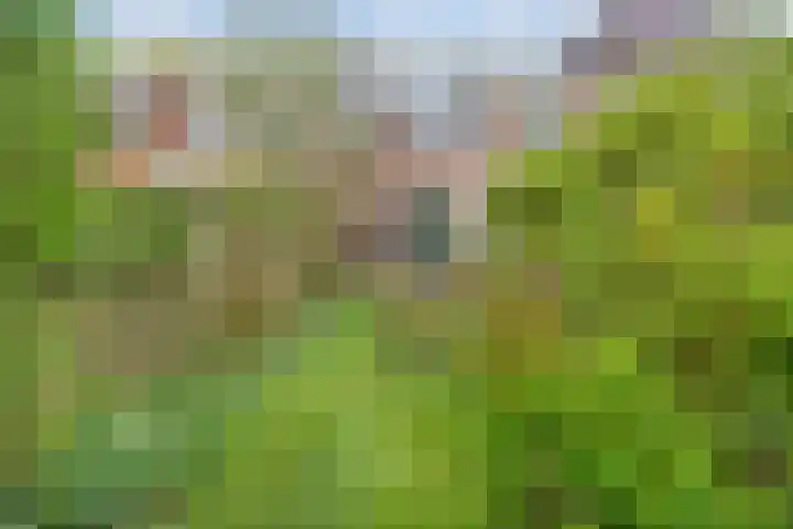 Philosofenallee 12 Zwolle thumbnail 24