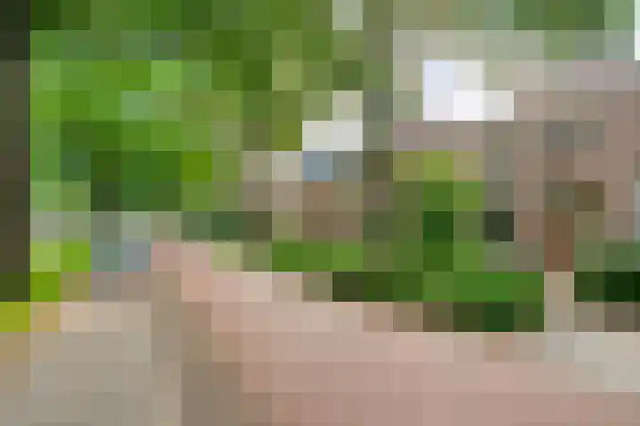 Philosofenallee 12 Zwolle thumbnail 27