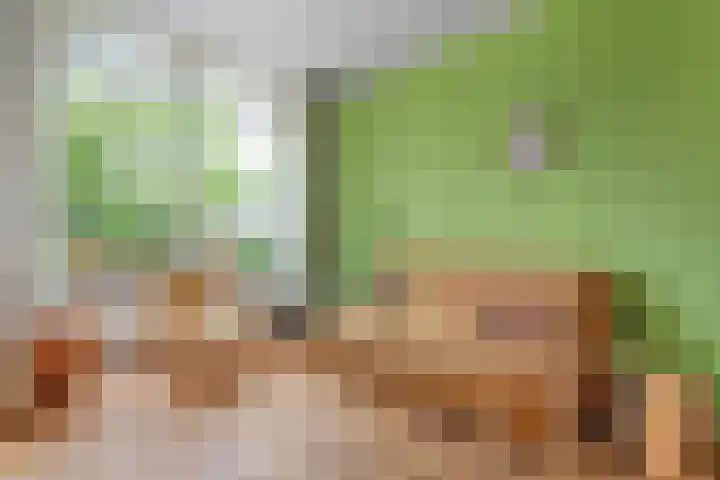 Philosofenallee 12 Zwolle thumbnail 5
