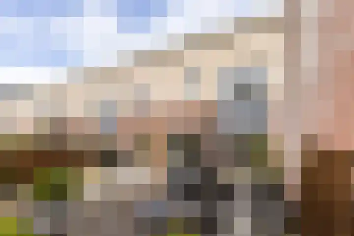 Phiny Dickgracht 16 Almere thumbnail 37