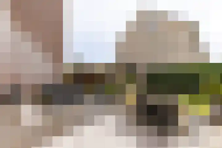 Phiny Dickgracht 16 Almere thumbnail 40