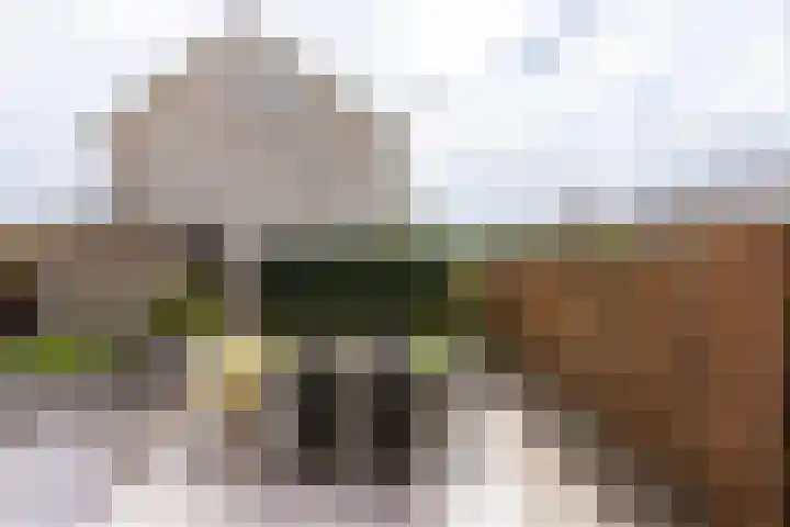 Phiny Dickgracht 16 Almere thumbnail 43