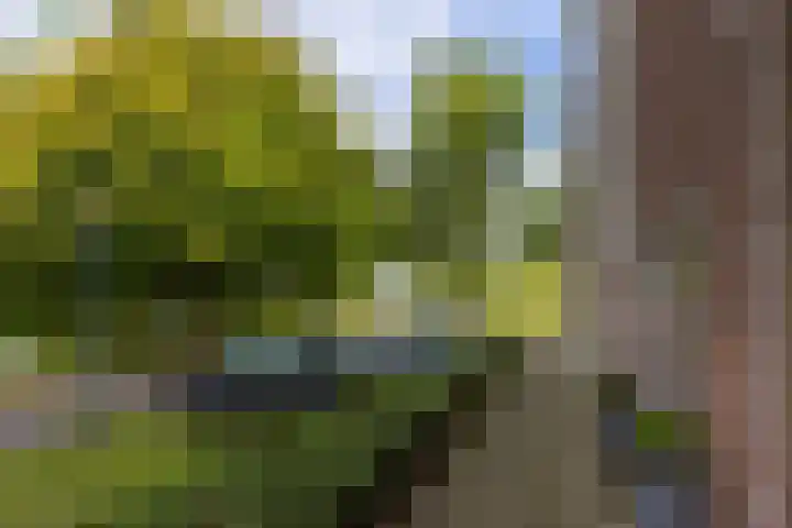 Phiny Dickgracht 16 Almere thumbnail 48