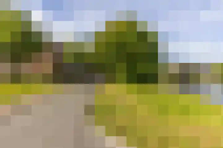 Phiny Dickgracht 16 Almere thumbnail 49