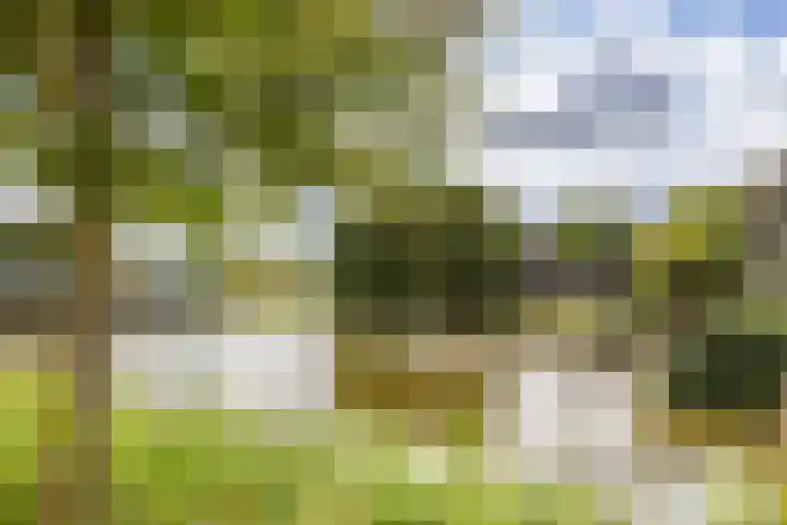 Phiny Dickgracht 16 Almere thumbnail 5