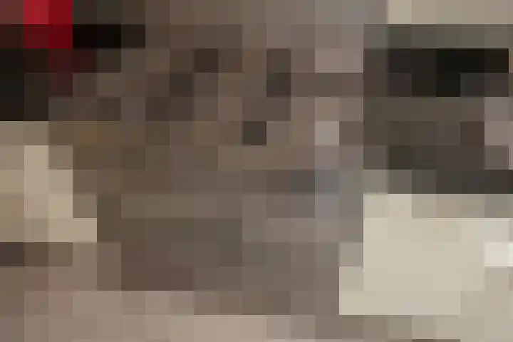 Phloxplein 8 Den Haag thumbnail 12