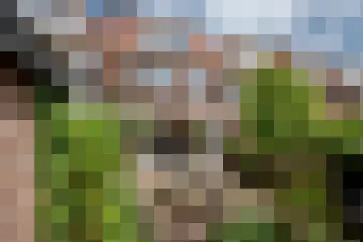 Phloxplein 8 Den Haag thumbnail 13