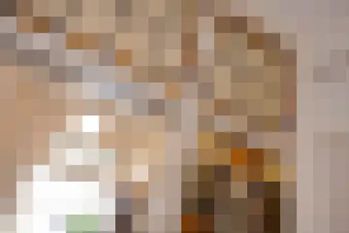 Phloxplein 8 Den Haag thumbnail 16