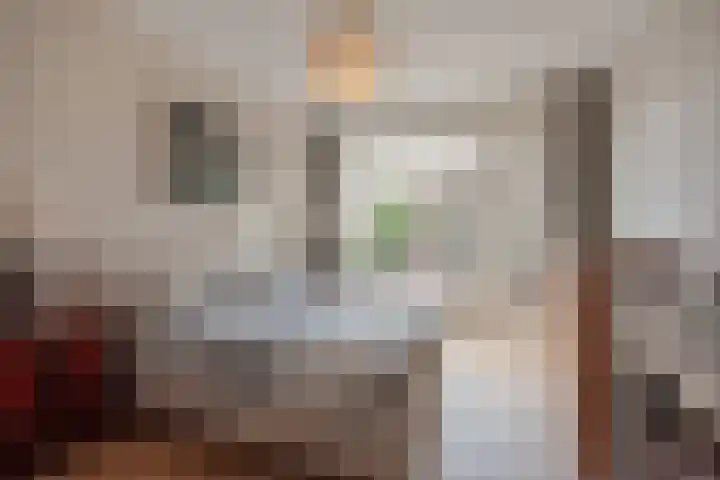 Phloxplein 8 Den Haag thumbnail 18
