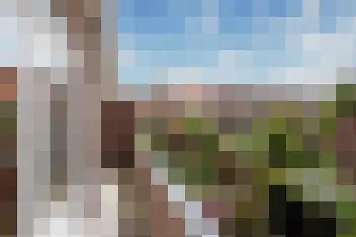 Phloxplein 8 Den Haag thumbnail 20