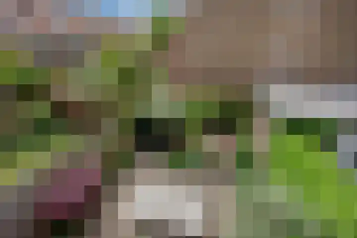 Phloxplein 8 Den Haag thumbnail 21