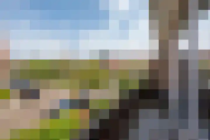 Phloxplein 8 Den Haag thumbnail 24