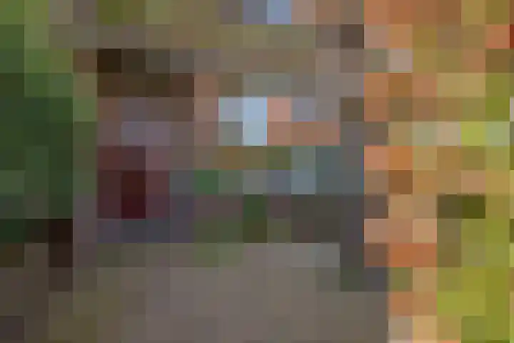 Phloxplein 8 Den Haag thumbnail 38