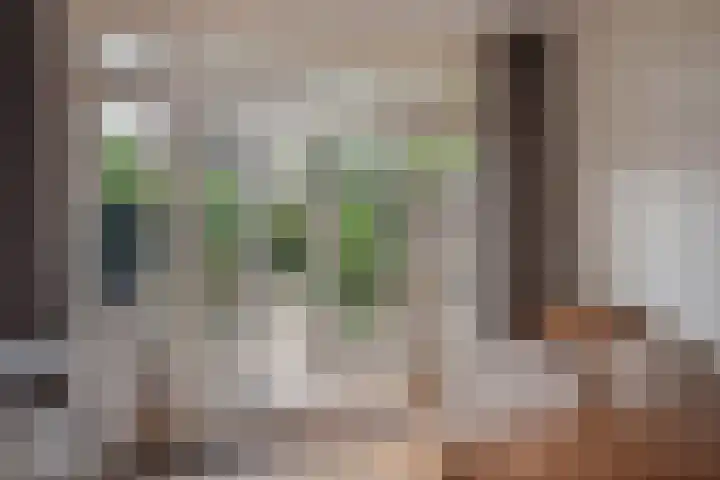 Phloxplein 8 Den Haag thumbnail 8