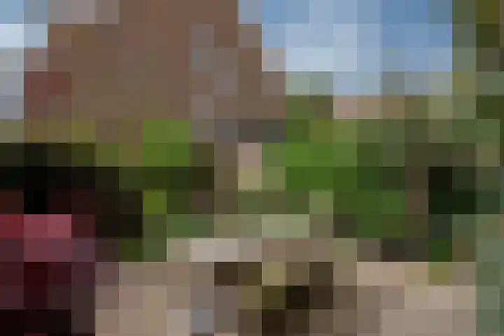 Phloxplein 8 Den Haag thumbnail 9