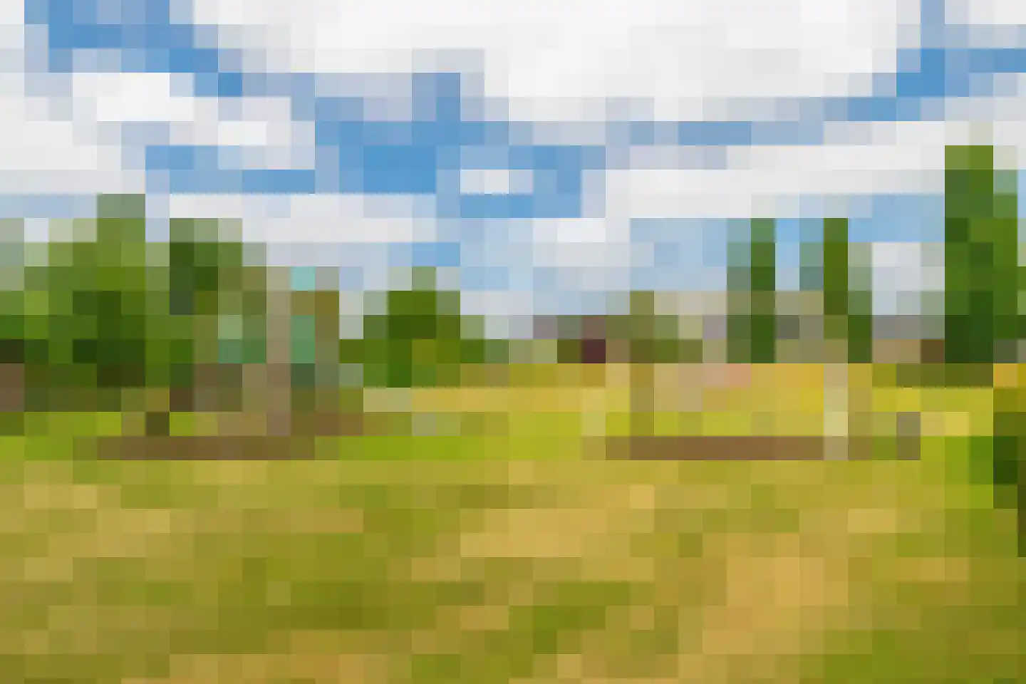 Phoenix 11 Waddinxveen thumbnail 31