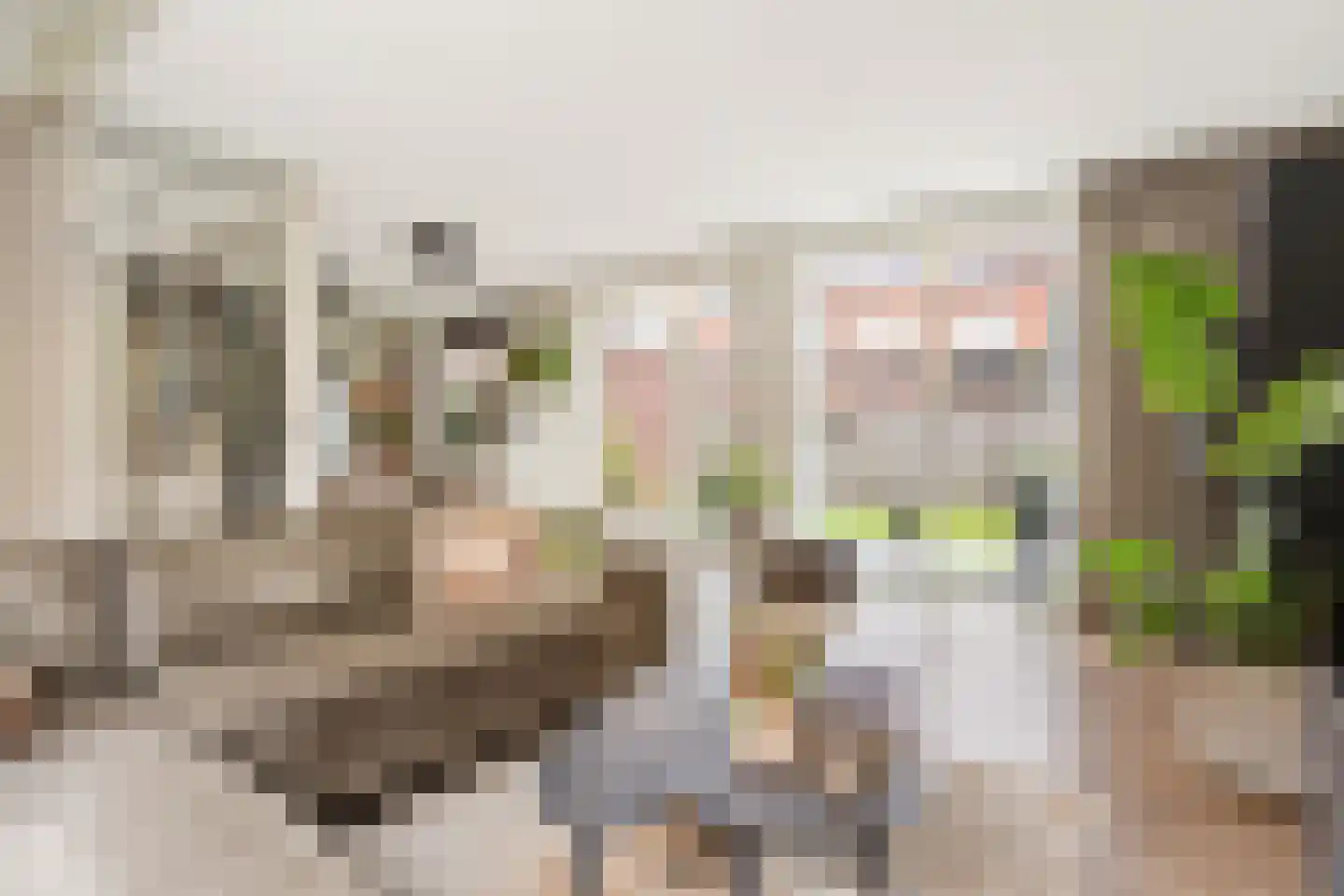 Phoenix 16 Waddinxveen thumbnail 11