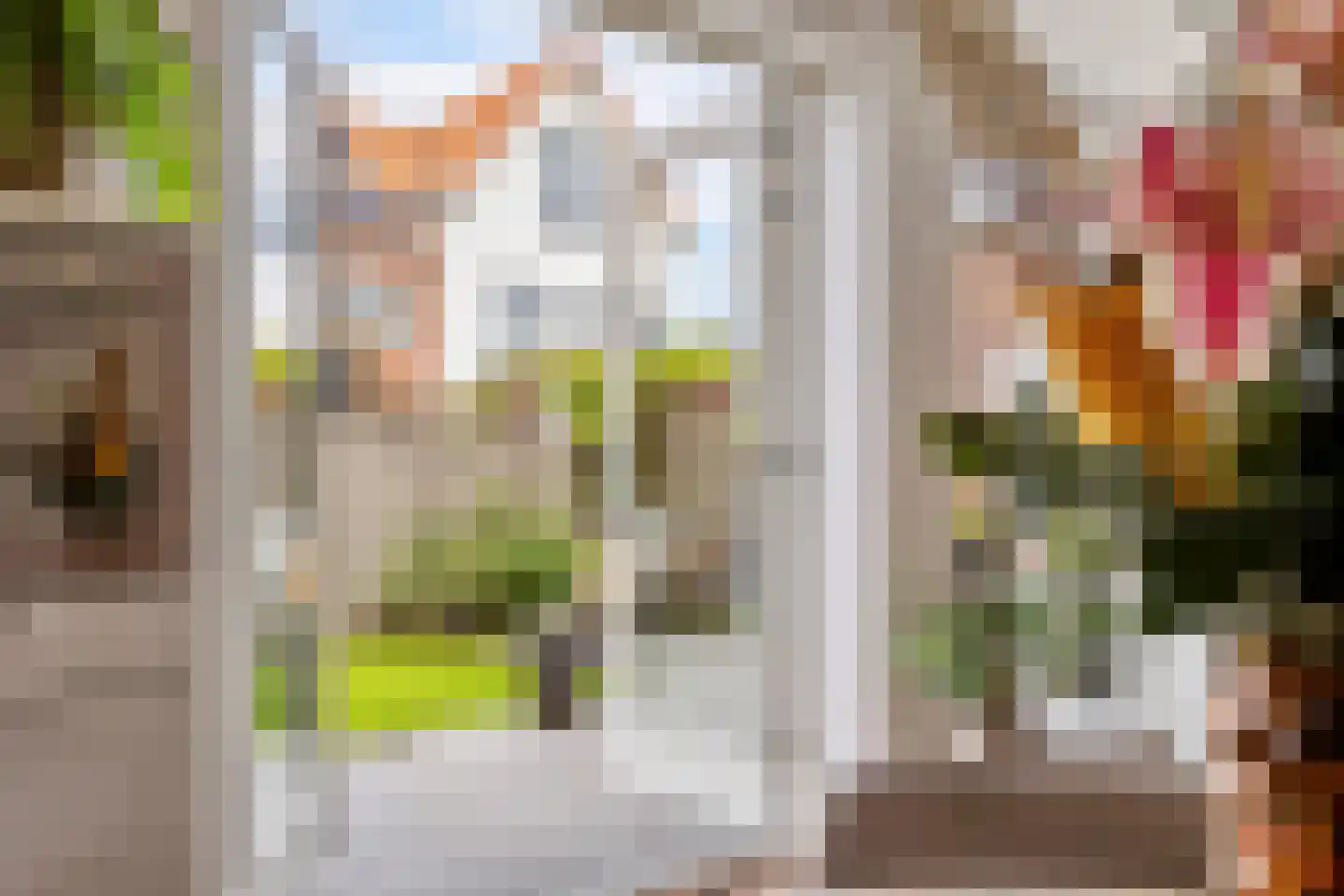 Phoenix 16 Waddinxveen thumbnail 18