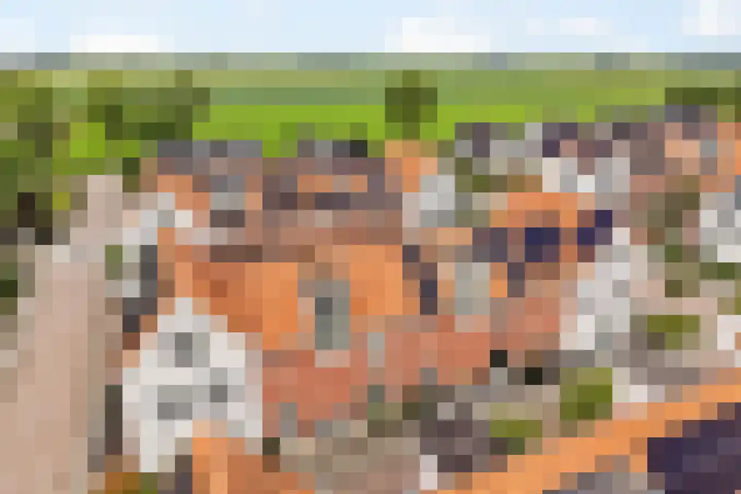 Phoenix 16 Waddinxveen thumbnail 4
