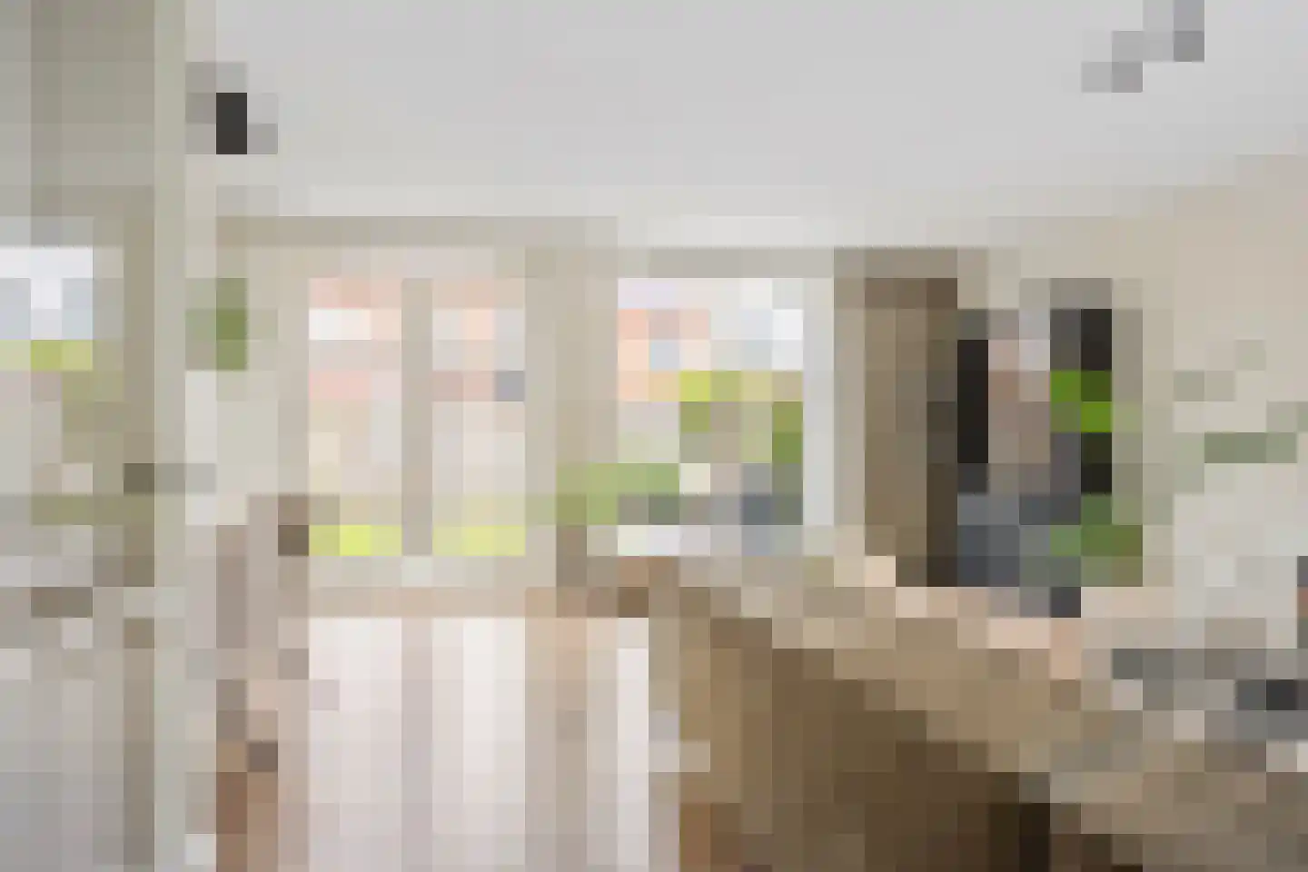 Phoenix 16 Waddinxveen thumbnail 8