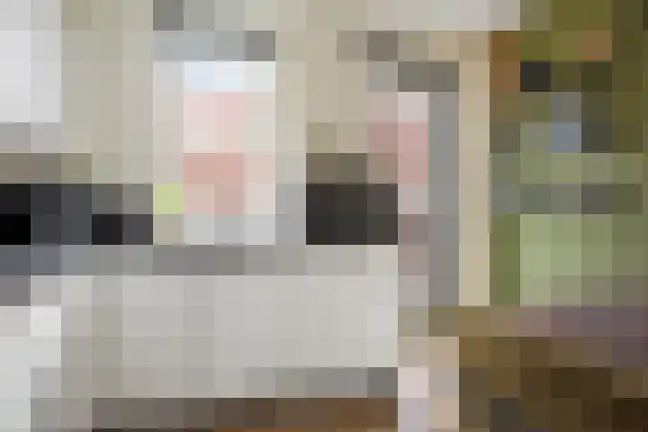 Phoenix 7 Waddinxveen thumbnail 14