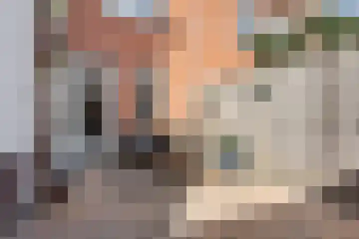 Phoenix 7 Waddinxveen thumbnail 18